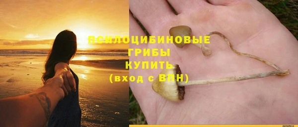 каннабис Алзамай