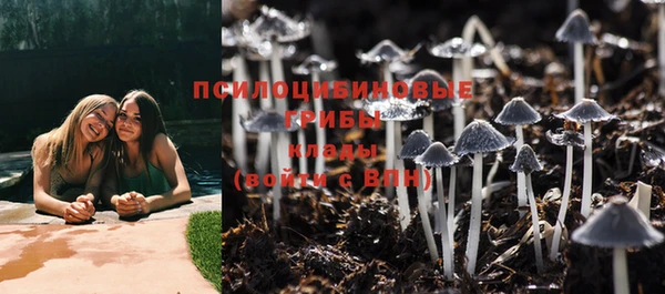прущая мука Алексин
