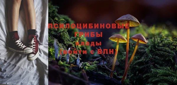 индика Алексеевка