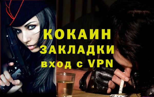 индика Алексеевка