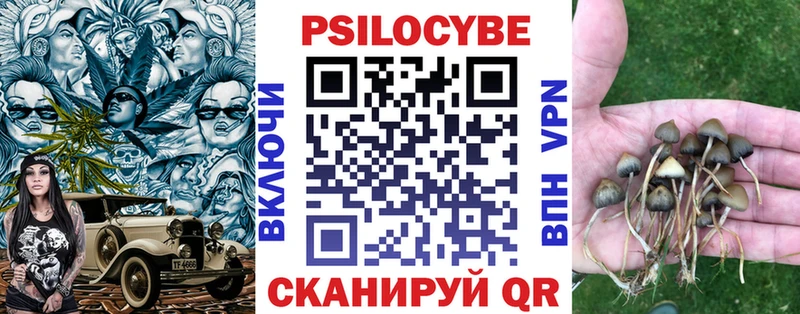 купить наркотики цена OMG сайт Псилоцибиновые грибы Psilocybine cubensis Ак-Довурак