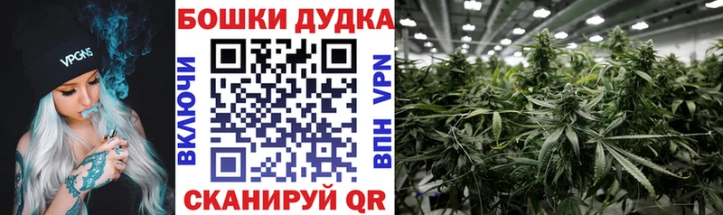 Марихуана гибрид  Ак-Довурак 